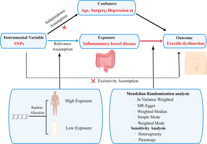 A Mendelian randomization study on causal effects of inflammatory