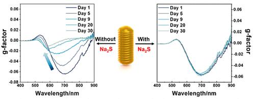 Stabilizing Chiral Gold Nanorods from Chiral-Micelle-Directed Synthesis ...