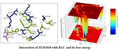 RBD 的 SARS-CoV-2 omicron BA1 和 BA2 与 50 种单克隆抗体的相互作用分析：分子动力学方法,Journal ...