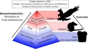 Stereoselective bioaccumulation of chiral anticoagulant rodenticides in ...