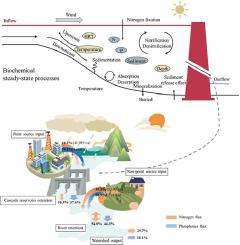 The cumulative effects of cascade reservoirs control nitrogen and ...