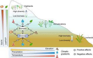 Reverse diversity–biomass patterns in grasslands are constrained by ...