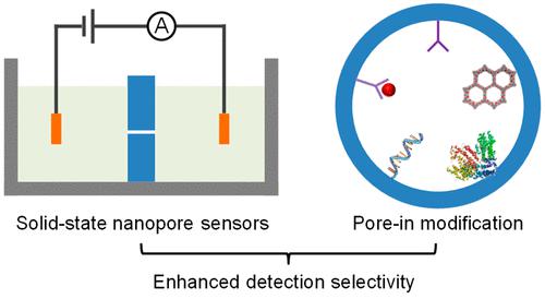 Solid-State Nanopore/Nanochannel Sensors with Enhanced Selectivity ...