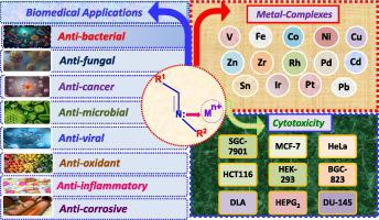 Recent advances in biological and medicinal profile of schiff bases and ...