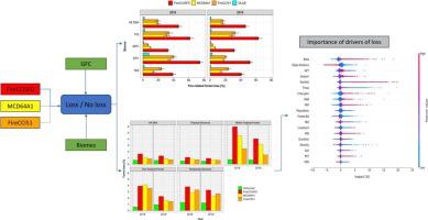 Coarse-resolution burned area datasets severely underestimate fire ...