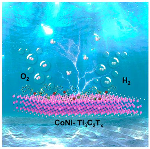 Dual-Atom Co/Ni Electrocatalyst Anchored at the Surface-Modified ...