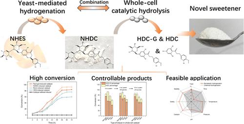 Microbial-Driven Synthesis and Hydrolysis of Neohesperidin ...