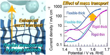 Mesoporous hydrogel electrodes with flexible frameworks exhibiting 