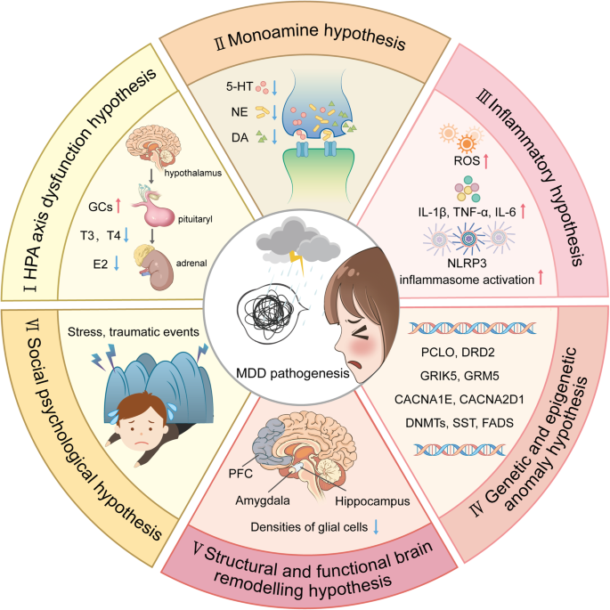 Major depressive disorder: hypothesis, mechanism, prevention and ...