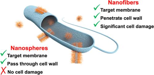 Mechanism of Action and Design of Potent Antibacterial Block Copolymer ...