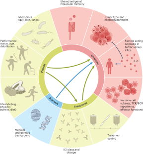 Clinical and translational attributes of immune-related adverse events