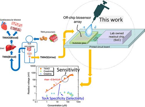 Rapid and Direct Detection of Trimethylamine N-oxide Using an Off