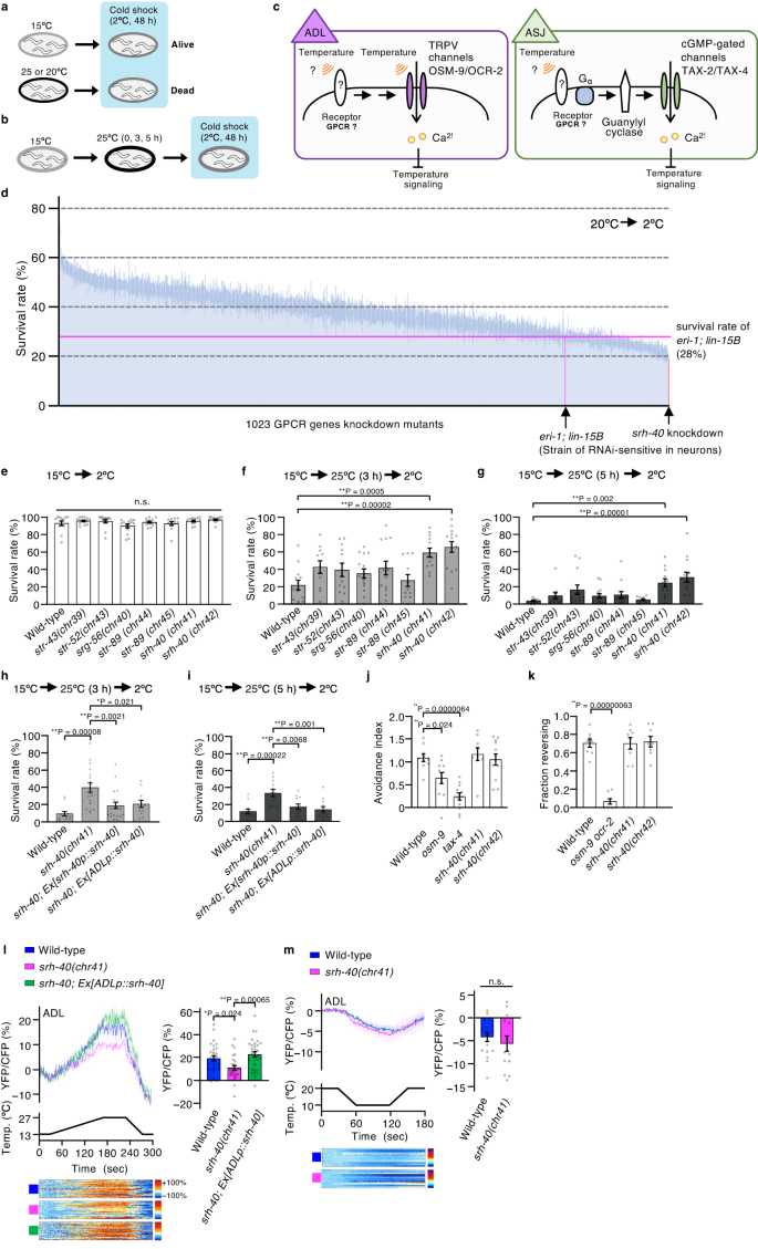 G protein-coupled receptor-based thermosensation determines temperature ...