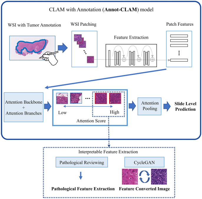 Extracting Interpretable Features For Pathologists Using Weakly Supervised Learning To Predict 5005