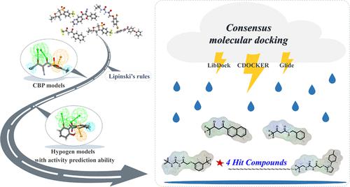 Integrated Virtual Screening and Validation toward Potential HPPD ...