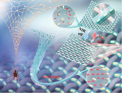 Novel Biomimetic Spider Web Robust Super Contractile Liquid