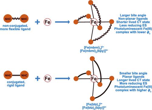 How Rigidity and Conjugation of Bidentate Ligands Affect the Geometry ...