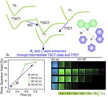 Simultaneously enhancing organic phosphorescence quantum yields and ...