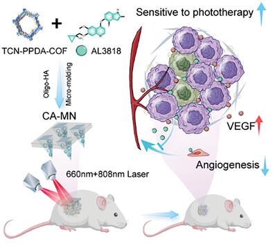 Single‐Cell RNA‐Sequencing‐Aided Covalent Organic Frameworks‐Based ...