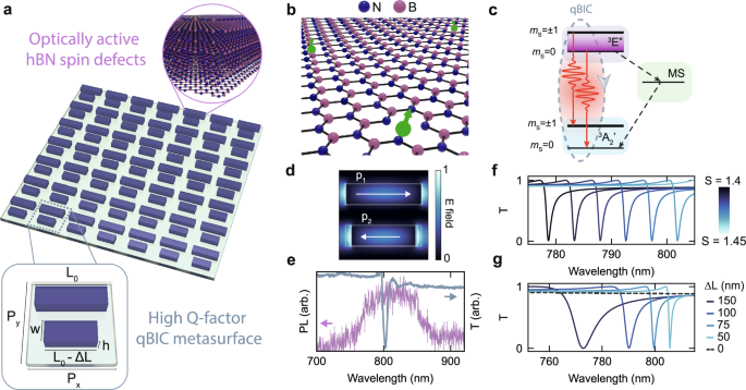 Optically Addressable Spin Defects Coupled To Bound States In The ...