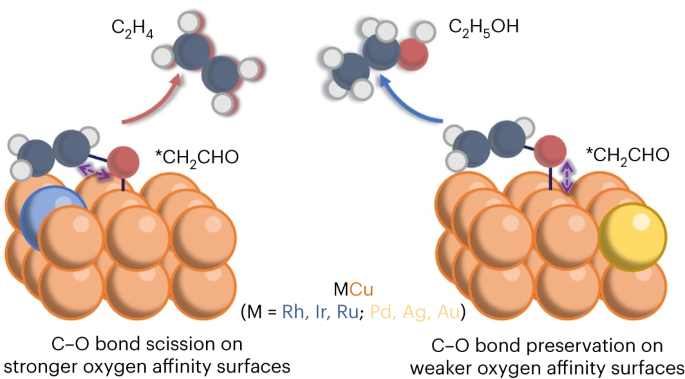 Directing CO2 electroreduction pathways for selective C2 product ...