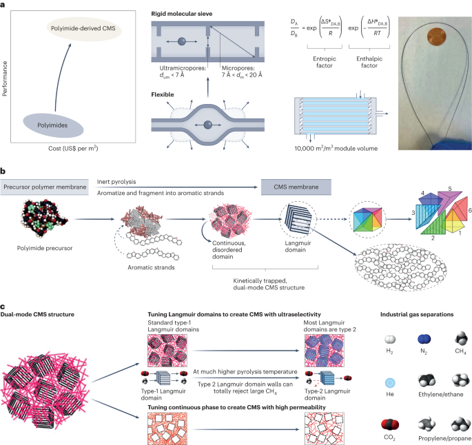 Polyimide-derived carbon molecule sieve membranes for gas separations ...