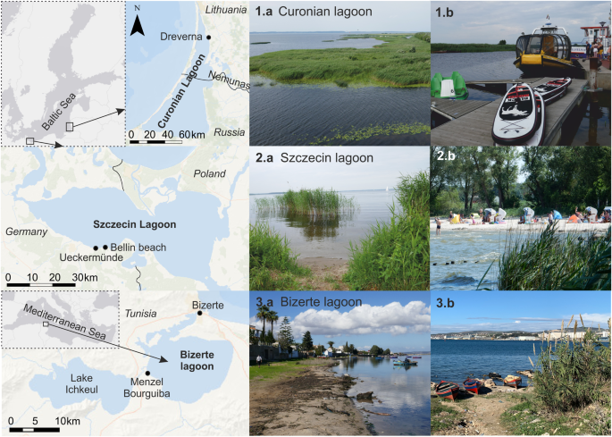 Assessment of Ecosystem Services Provided by Macrophytes in Southern ...