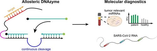 A Programmable DNAzyme for the Sensitive Detection of Nucleic Acids