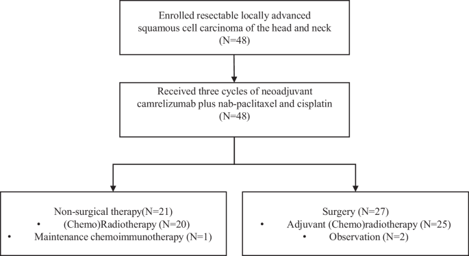 Neoadjuvant Chemo-immunotherapy With Camrelizumab Plus Nab-paclitaxel ...