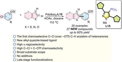 Regio‐ and Chemoselective Palladium‐Catalyzed Additive‐Free Direct C─H ...