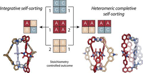 Heteromeric Completive Self-Sorting in Coordination Cage Systems