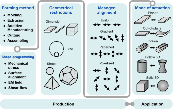 Shape Programming Of Liquid Crystal Elastomers,Communications Chemistry ...