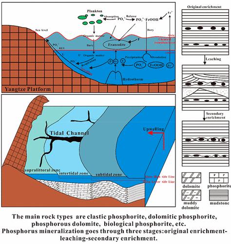 Geochemical Characteristics Of Trace Elements And Mineralization Model