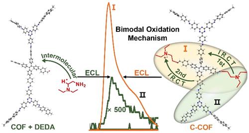 Bimodal Oxidation Electrochemiluminescence Mechanism of Coreactant ...