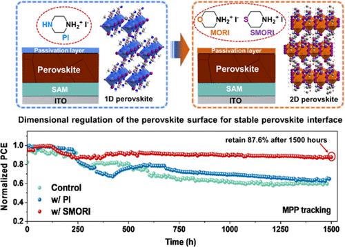 Dimensional Regulation From 1D/3D To 2D/3D Of Perovskite Interfaces For ...