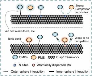 Understanding Of Interfacial Molecular Interactions And Inner-sphere ...