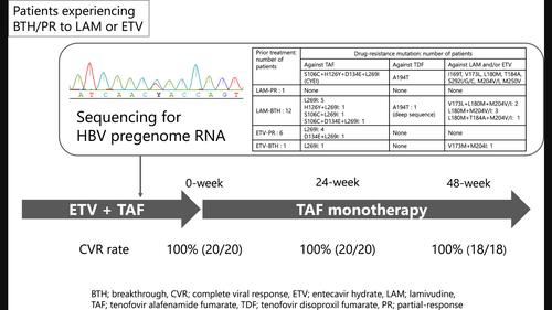 Switching From Combination Therapy With Entecavir Hydrate Plus ...