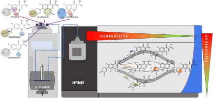 Mechanistic study of the electrochemical oxidation of fluoroquinolones ...