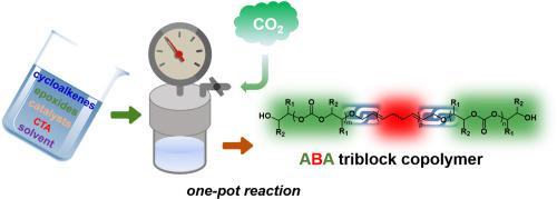 Efficient one-pot synthesis of CO2-based functional polycarbonates ...