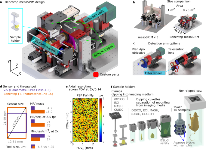 Benchtop mesoSPIM: a next-generation open-source light-sheet microscope ...