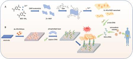 Nanocluster/metal-organic framework nanosheet-based confined ECL ...