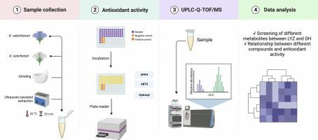 Uplc Q Tof Ms Arabian Journal Of Chemistry