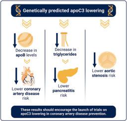 Drug target Mendelian randomization supports apolipoprotein C3-lowering ...