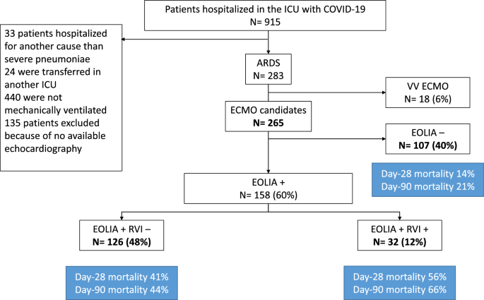 Right ventricular injury in patients with COVID-19-related ARDS ...