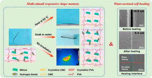 Multistimuli Responsive Shape Memory Composites With A Water Assisted Self Healing Function 2465