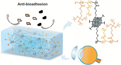 含 POSS 和 PEG 的共聚物在抗生物粘附硬性隐形眼镜材料中的应用,Biomacromolecules - X-MOL