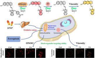 “Three-key-and-lock” near-infrared fluorescent probe for dual-channel ...