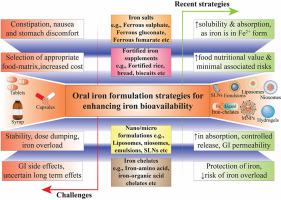 Recent advances in the formulation strategy to improve iron ...