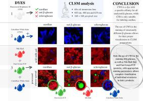 Calcoflor White (CWS) 和荧光增白剂 (CFB) 染料对选定乳制品和水中各种 β-葡聚糖进行共焦激光显微分析 (CLSM ...