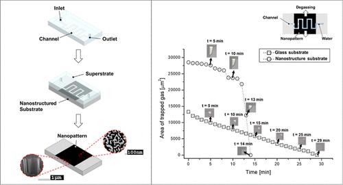 Nanostructured Substrate-Mediated Bubble Degassing in Microfluidic ...